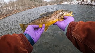 Winter Fly Fishing in the Catskills Low Temps but Hot Action [upl. by Allerbag]