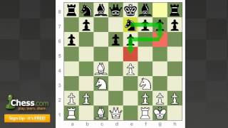 Chess Openings How to Play the SmithMorra Gambit [upl. by Bernita320]