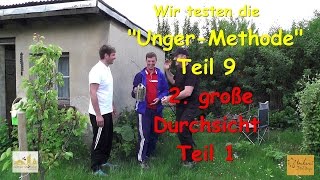 Wir testen die quotUngerMethodequot Teil 9  2 Große Durchsicht Teil 1 1252017 [upl. by Lesser]