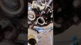 Oil filter changing bikelover bikerepair short youtube viralvideo [upl. by Ideih81]