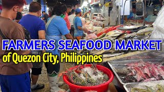 FARMERS MARKET TOUR in QUEZON CITY 2022  Prices of Seafood in Metro Manilas Must Visit WET MARKET [upl. by Oiuqise699]