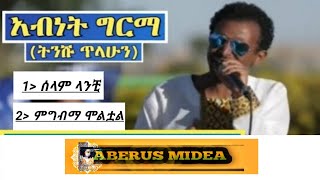 ETHIOPAN TENESHU TELAHUN BEST MUSIC [upl. by Nylarad179]