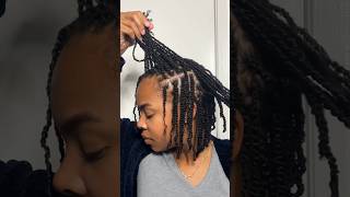 My Frizz FREE Mini Twist naturalhair minitwists twostrandtwist curlyhair naturalhairstyles [upl. by Bazluke]