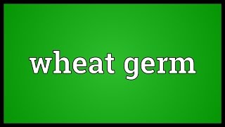 Wheat germ Meaning [upl. by Adnorahs]