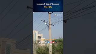 పట్టపగలే వెలుగుతున్న విద్యుత్ లైట్లు  Krishna  Andhra Pradesh  Way2news Telugu [upl. by Elurd73]