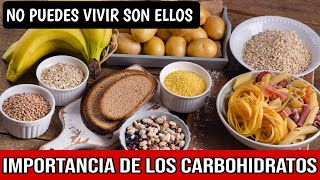 IMPORTANCIA DE LOS CARBOHIDRATOS EN NUESTRA ALIMENTACION [upl. by White357]