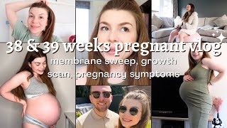 I got a membrane sweep new pregnancy symptoms and updates  38 amp 39 weeks pregnancy vlog [upl. by Houston798]