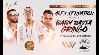 ALEX SENSATION  BABY RASTA Y GRINGO  LIVE CONCERT 2024 [upl. by Germano]