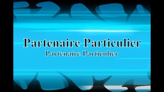 Partenaire Particulier  Partenaire Particulier  Version Karaoké [upl. by Trula991]