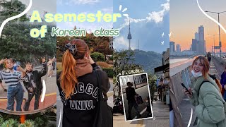 A semester as a Korean language student at Dongguk  School festivals amp study vlog  We saw CRUSH [upl. by Carrissa]