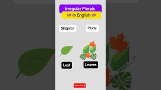 Learn Irregular Plural Nouns in ENGLISH 🇬🇧 learnenglish shorts english englishclass learning [upl. by Goldston]