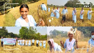 BEd Practicum  Community Work  St Xaviers College of Education Ambikapur 🧑‍🎓 [upl. by Nerret829]