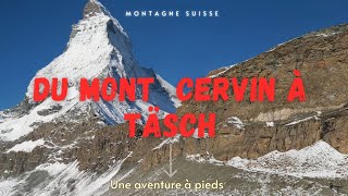 Du Mont Cervin à Tâsch à pied  12 h de marche [upl. by Elwaine]