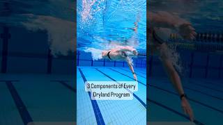 Dryland Training for Swimmers swim lift coach [upl. by Teresina]