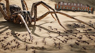 The KILLER Spider Returns  Empires Of The Undergrowth  Ep36 [upl. by Eikcor]