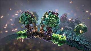 BioVisions Powering the Cell Mitochondria Short Official Version [upl. by Cartwright430]