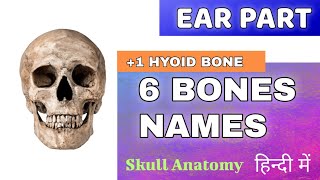 6 EAR BONES NAME in Hindi  incus Stapes  Malleus Bone  29 SKULL BONES names [upl. by Pampuch86]