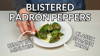 Blistered Spanish Padrón Peppers Easy Tapas Recipe [upl. by Aihtnys]