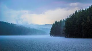 Musica meravigliosa per rilassare la mente e alleviare lo stress ☔️ [upl. by Megargee]