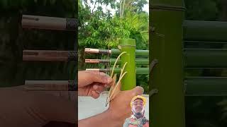 Bamboo creatoin with tree arrow😱😱😱😱😱 bamboogun bowandarrow bamboo satisfying diy [upl. by Kecaj]