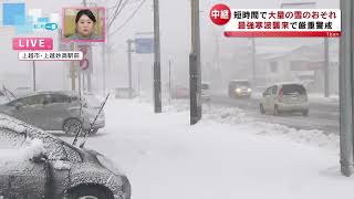 【寒波リポート】上越市の雪の様子、そして新潟駅前では （24日午後4時現在） [upl. by Airekahs601]