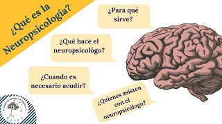 ¿SABES QUÉ ES LA NEUROPSICOLOGÍA TODO LO QUE TIENES QUE SABER [upl. by Dwayne]