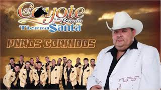 Aunque Nos Duela⭐El Coyote Y Su Banda Tierra Santa⭐ CORRIDOS MEXICO 2024 [upl. by Calica]