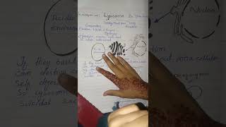 lysosomes structure and function [upl. by Kristin]