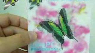 Amazing Lenticular Animation of Butterfly [upl. by Druce516]