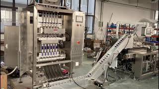 Automatic multilane Packaging Machine amp Automatic Cartoning Machine Assembly Line Manufacturer [upl. by Akcirederf]