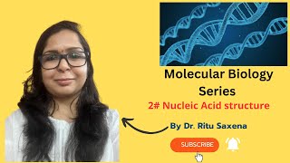 Molecular Biology Series Part Two Nucleic Acids Structure II DNA RNA structure [upl. by Karolina]