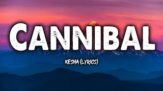 Cannibal  Kesha Lyrics [upl. by Atazroglam448]