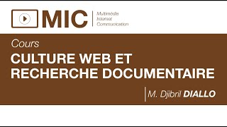 CULTURE WEB ET RECHERCHE DOCUMENTAIRE [upl. by Ahsenat679]