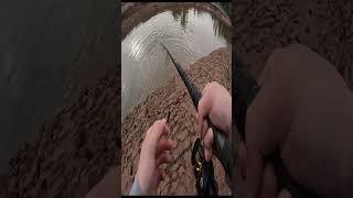 Catching gar in the river fishingusa fish fishing bassfishing catchinbass fishingvideo [upl. by Spohr]