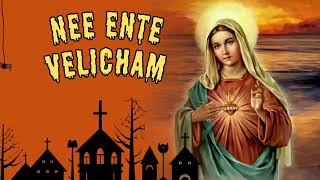 Nee Ente Velicham Karaoke With English Lyrics mothermary jesus malayalam [upl. by Hako]