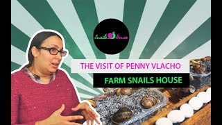 Penny Vlakho on a snail farm [upl. by Micky]