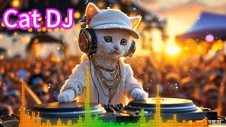 Espectáculo de discoteca Cat DJ [upl. by Harbard580]