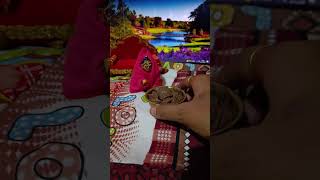 Maiya ne laddu gopal ki choco 🍫🍫 le li  maiya ne laddu gopal ki mithai le li laddu gopal shorts [upl. by Orelle]