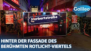 Menschen Mythos Reeperbahn Hinter der Fassade des berühmten RotlichtViertels [upl. by Auberta]