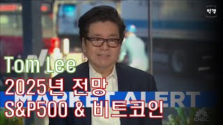 탐리Tom Lee 2025년 SampP 500 및 비트코인 전망 영상 [upl. by Annatnas]