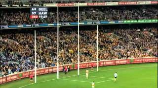 AFL 2011  Round 12  Geelong vs Hawthorn  Game Highlights [upl. by Abehsile]