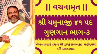 શ્રી યમુનાજી ૪૧ પદ ગુણગાન ભાગ૩  Shri Yamunaji 41 Pad  Shri Dwarkeshlalji Kadi Ahmedabad [upl. by Llerrahs]