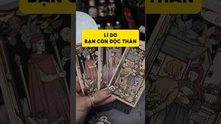 Lí do bạn còn độc thân tarot duongtarot tarotreels tarotvietnam tarotonline tinhyeu [upl. by Nert132]