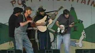 The Hillbilly Gypsies  quotShuckin the Cornquot  LIVE [upl. by Sinnaiy]