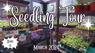 🌱 March 2024 Seedling amp Garden Update Zone 6 Cottage Garden Vlog🍄 [upl. by Aicina]