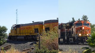 BNSF 3748 Sac Local North amp UPY 651 Florin Flyer Local Shoving North At Brighton  Sacramento CA [upl. by Nived]