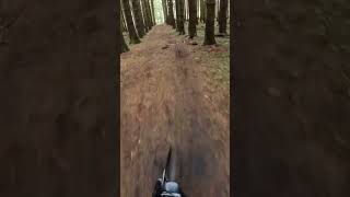 Garvagh jump line mtb trail [upl. by Saiff]