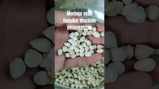 Moringa Seed Dehuller Machine moringa moringaseeds [upl. by Noek]