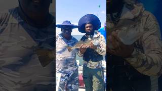 Fishing with Captain Herbert Lusher trout redfish blackdrum sheephead backyard fishing [upl. by Ottie]