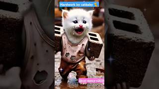 Hardwork by catbaby 🐈 Catdancev2025 shorts kittens [upl. by Radman]